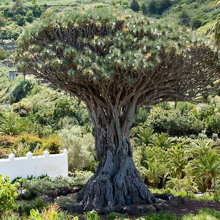 Lava & Ocean - Icod De Vinos - Ac, 3 Bedrooms, 2 Bathrooms, Ocean And Teide View *